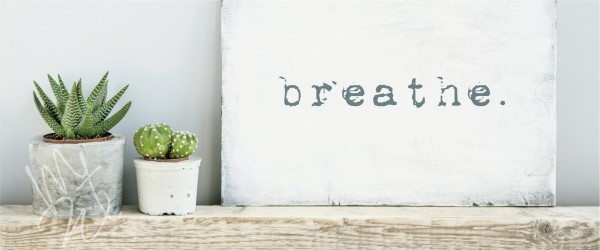 succulent plants and canvas with the word breathe on the canvas.